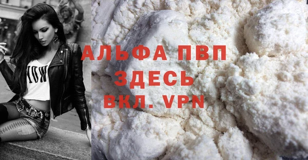 mdpv Каменногорск