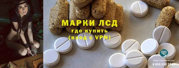 mdpv Каменногорск