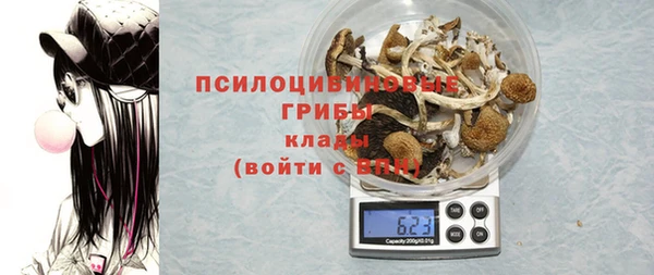 прущая мука Каменка